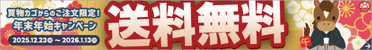 年末年始送料無料キャンペーン