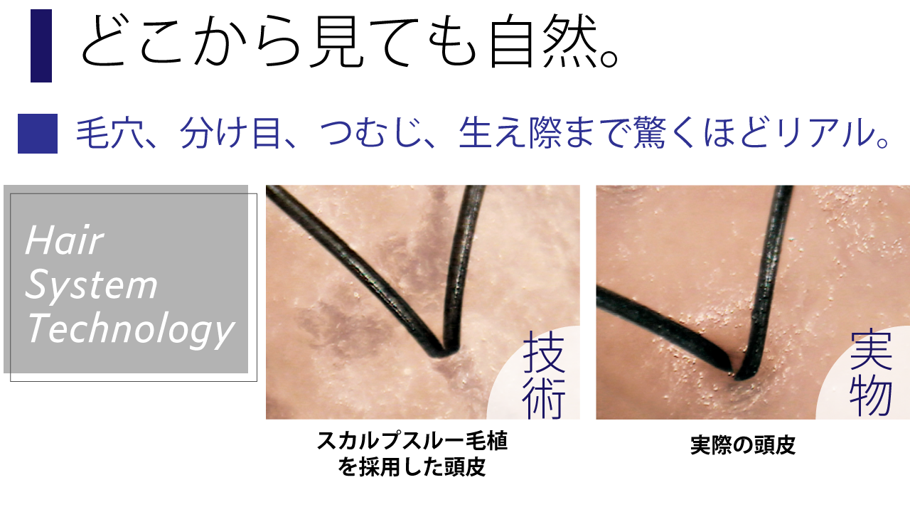 どこから見ても自然