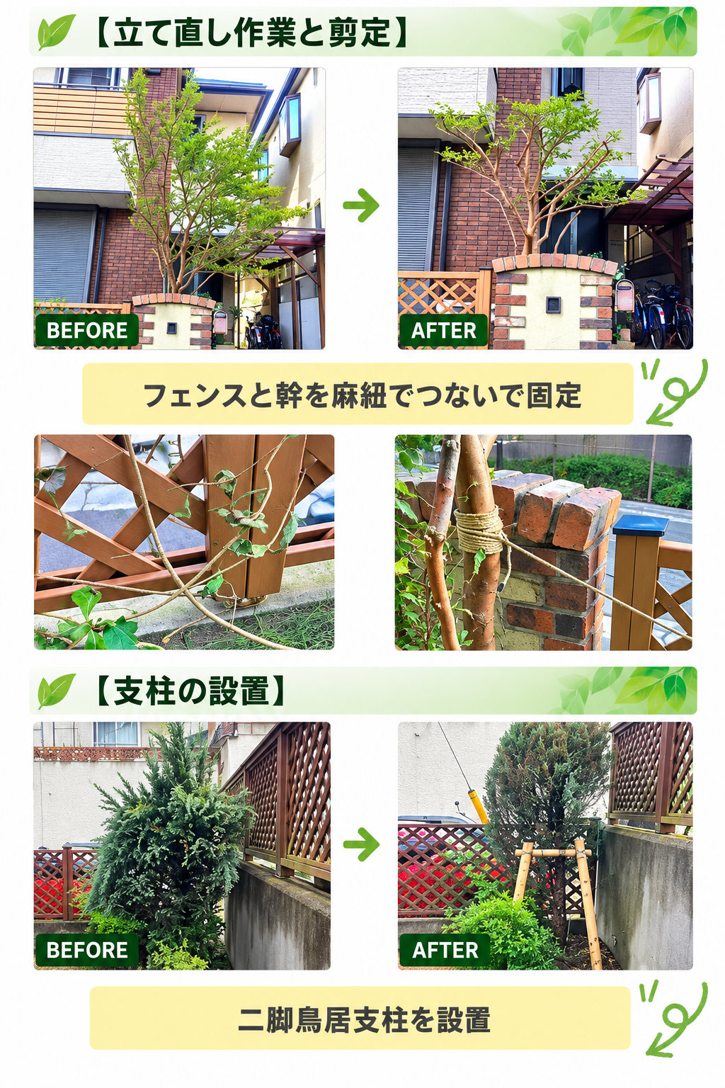 台風による庭木の立て直し・支柱設置事例