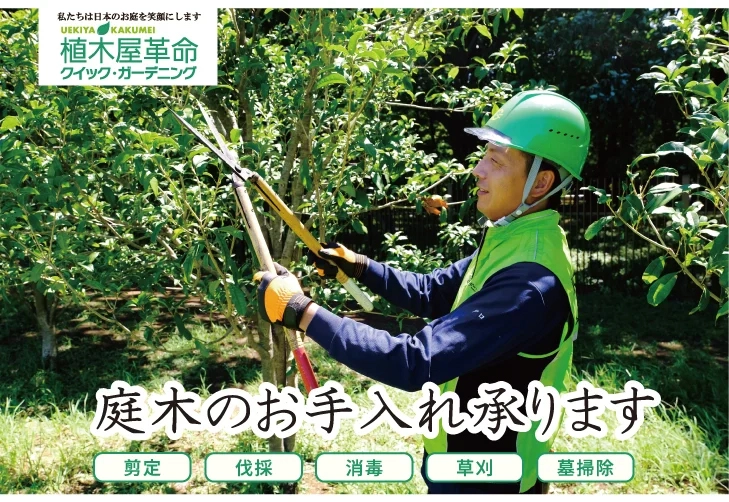 植木屋革命 クイック・ガーデニング