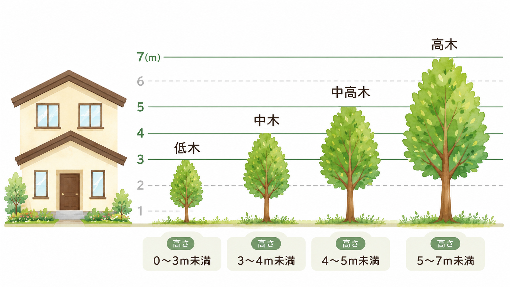台風対策メニュー